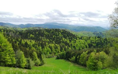 NÁUČNÝ CHODNÍK DONOVALY – ŠACHTIČKA